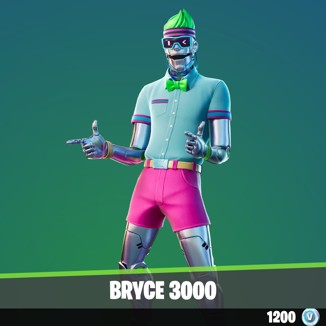 Bryce 3000